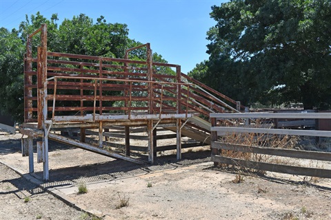 Cattle yards race