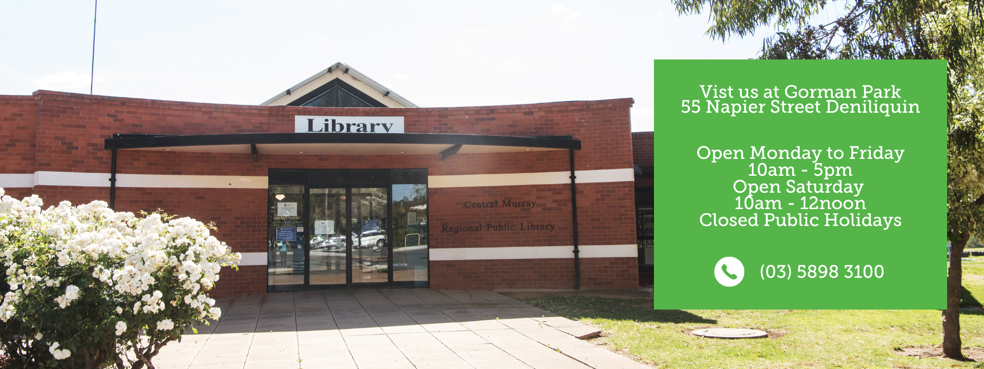 Library-Page-Banner-CORRECT-DIMENSIONS.png