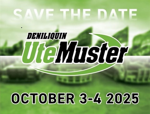 Ute Muster 20205.jpg